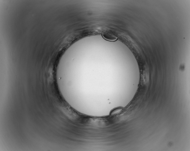 X0000100960520200807081244