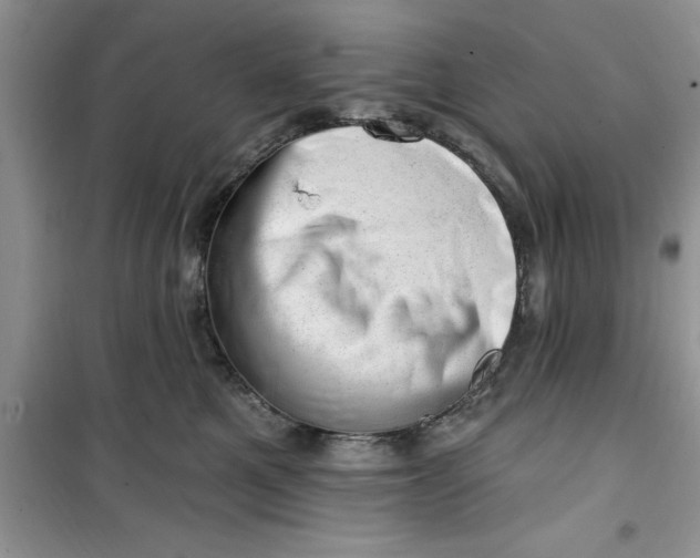 X0000100960521200807081244