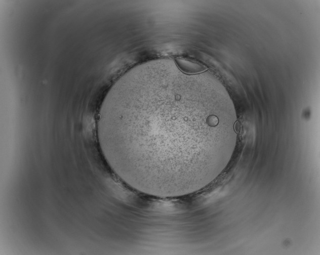 X0000100960523200807081244