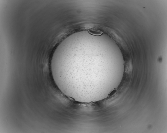 X0000100960524200807081244