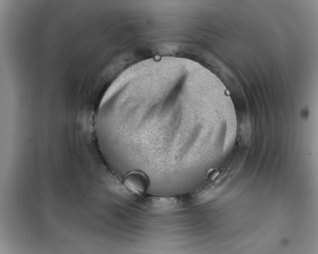 X0000100960525200807081244