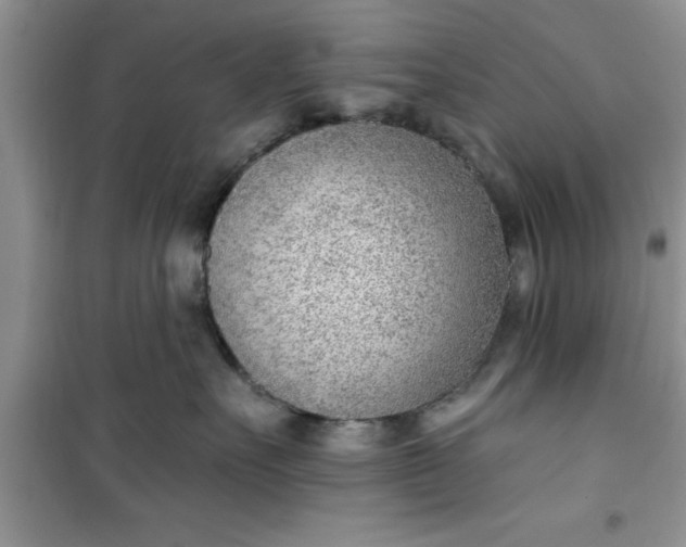 X0000100960527200807081244