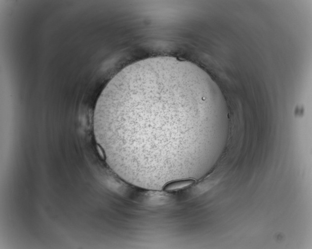 X0000100960528200807081244