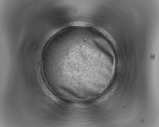 X0000100960529200807081244