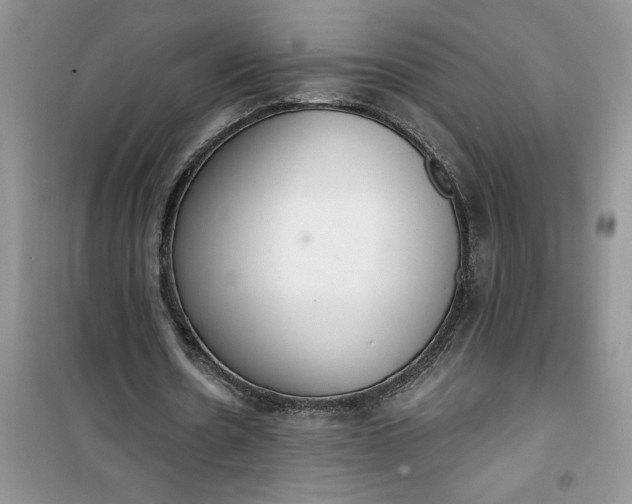 X0000100960530200807081244