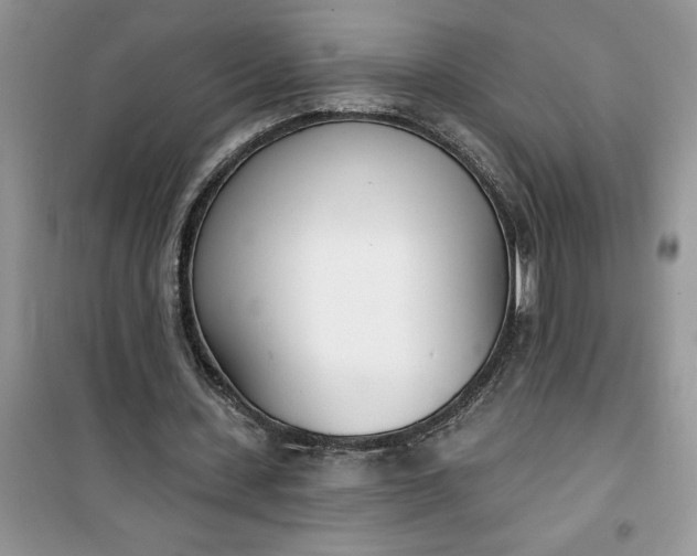 X0000100960531200807081244