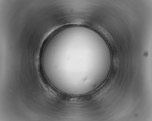 X0000100960532200807081244