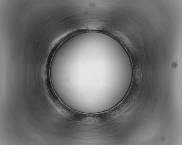 X0000100960536200807081244