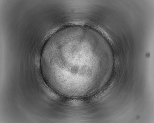 X0000100960537200807081244