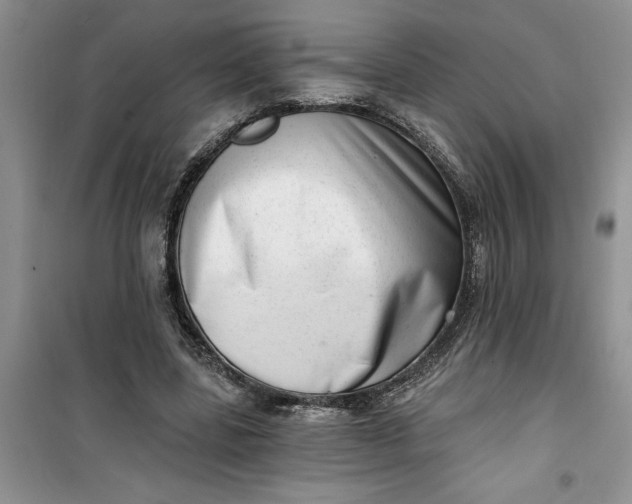 X0000100960539200807081244