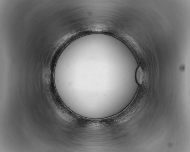 X0000100960540200807081244