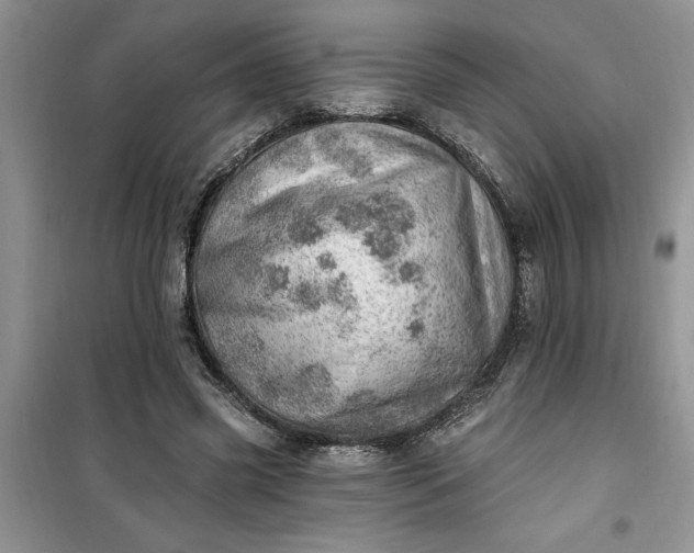 X0000100960541200807081244