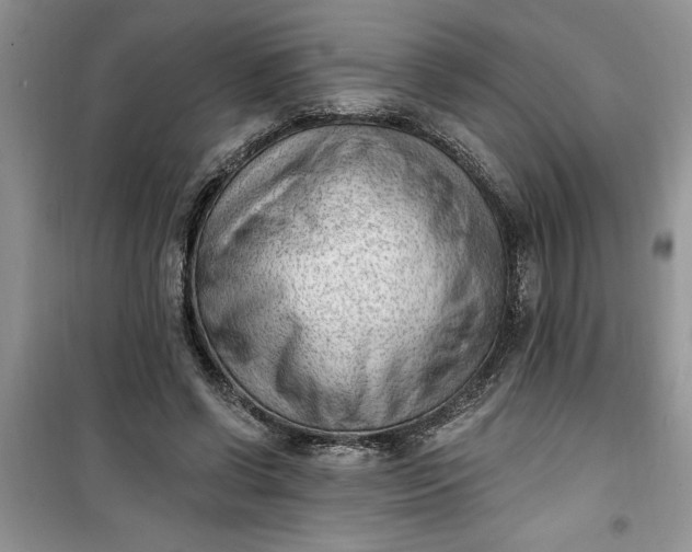 X0000100960542200807081244