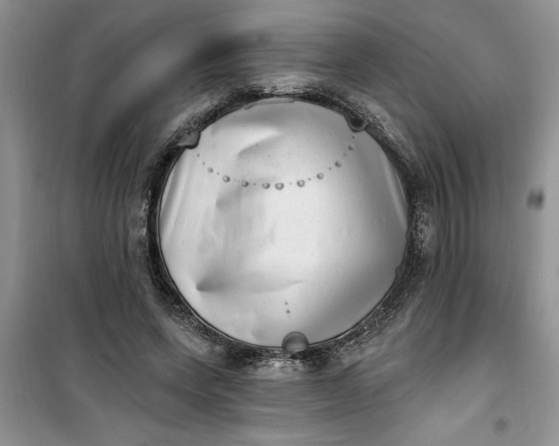 X0000100960543200807081244