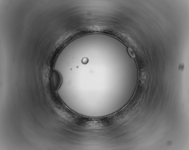 X0000100960544200807081244