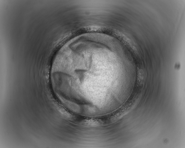 X0000100960545200807081244