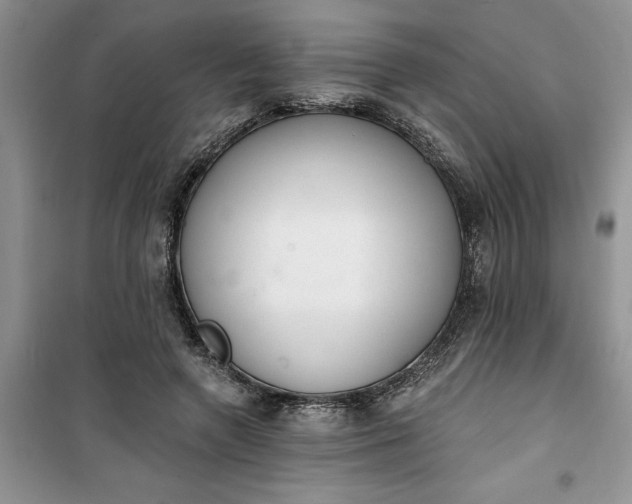 X0000100960546200807081244