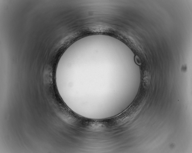 X0000100960547200807081244