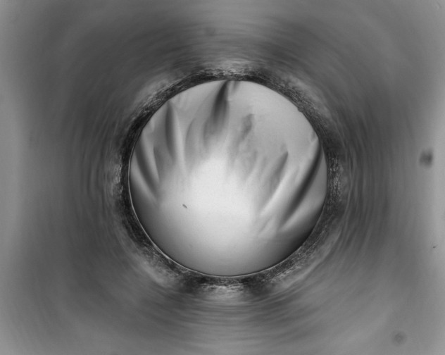 X0000100960548200807081244