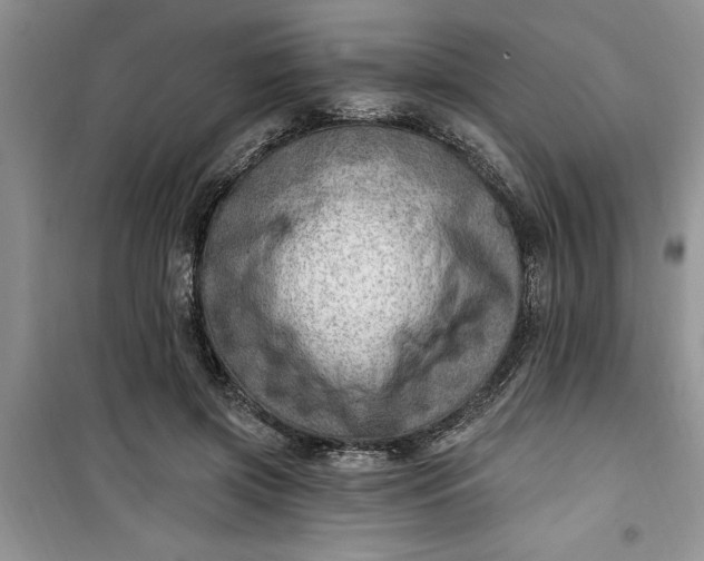 X0000100960549200807081244