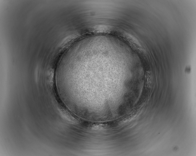 X0000100960550200807081244