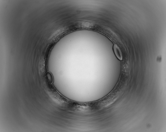 X0000100960552200807081244