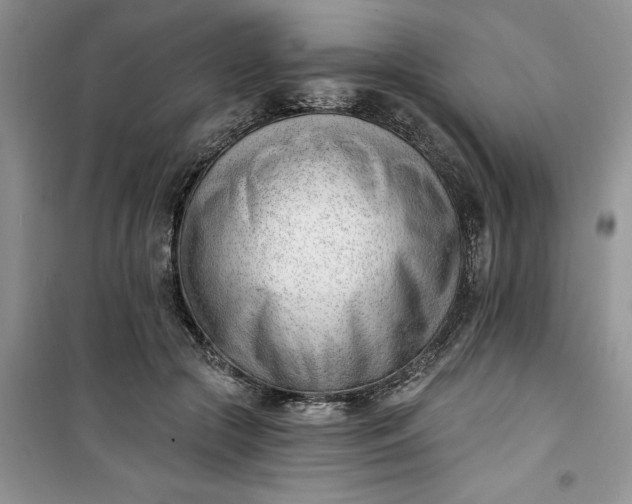 X0000100960553200807081244