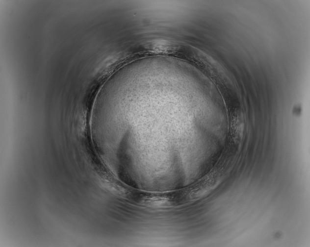 X0000100960554200807081244