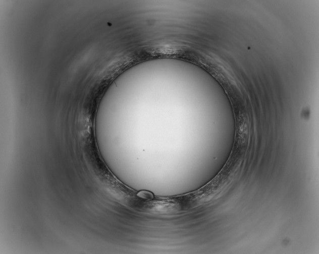 X0000100960555200807081244