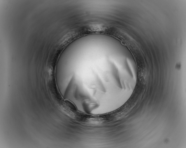 X0000100960556200807081244