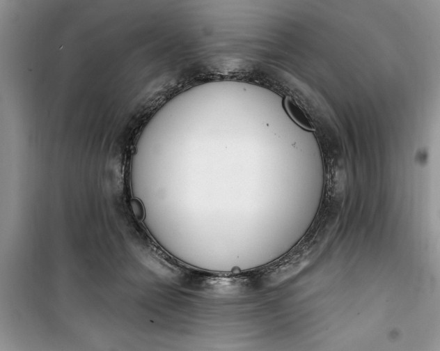 X0000100960558200807081244