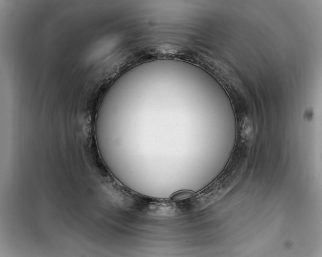 X0000100960559200807081244