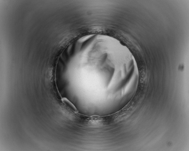 X0000100960560200807081244