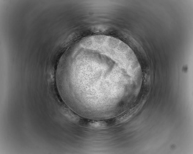 X0000100960561200807081244