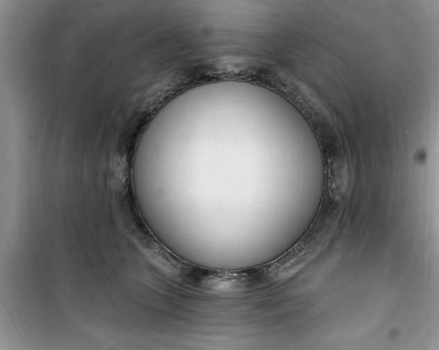 X0000100960563200807081244