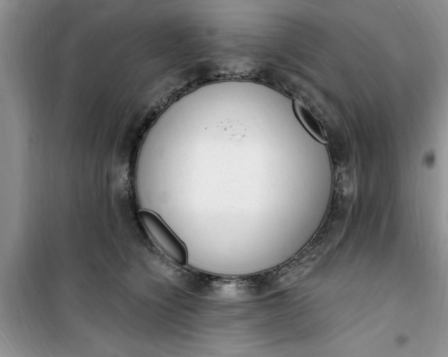 X0000100960564200807081244