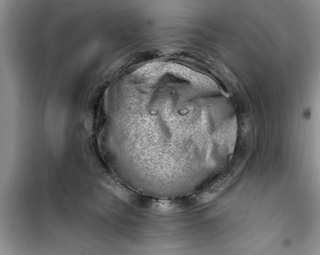 X0000100960565200807081244