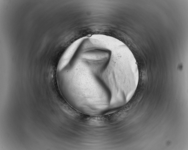 X0000100960567200807081244