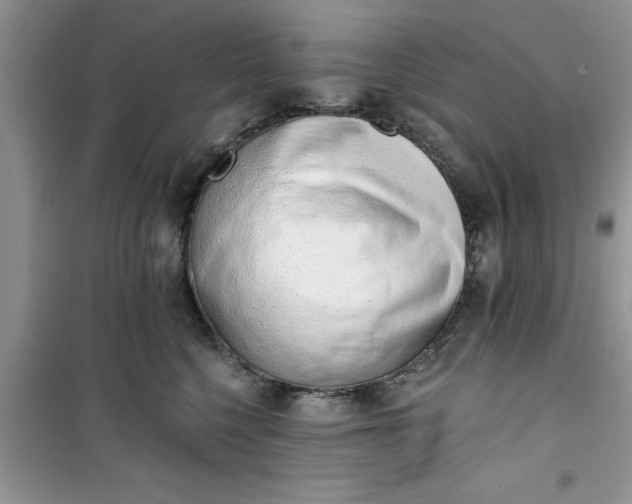 X0000100960568200807081244