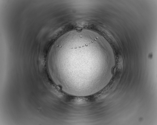 X0000100960569200807081244