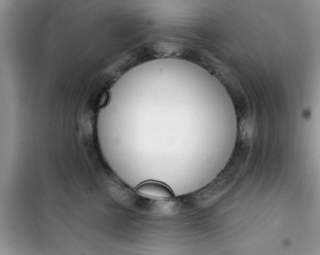 X0000100960570200807081244