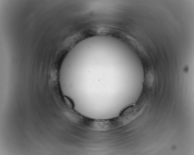 X0000100960571200807081244