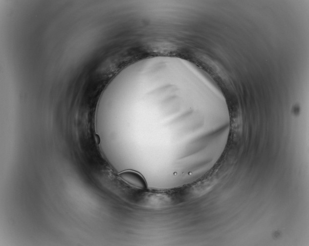 X0000100960572200807081244