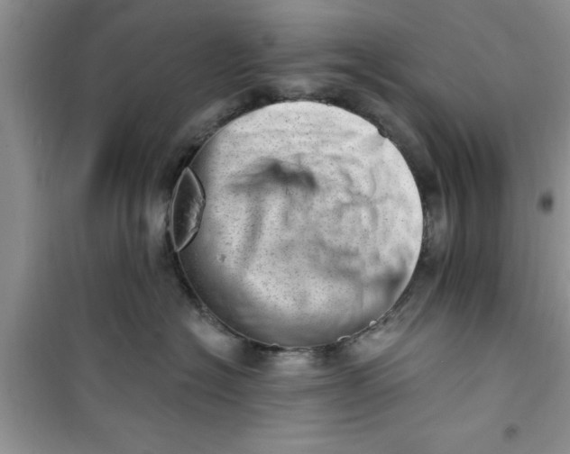 X0000100960574200807081244