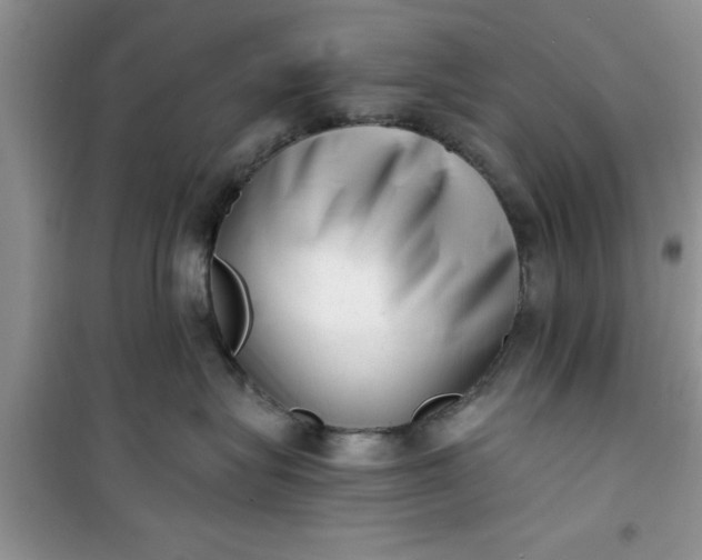 X0000100960575200807081244