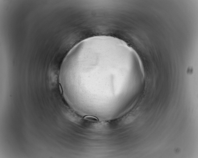 X0000100960576200807081244