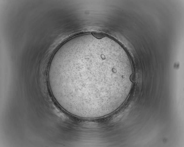 X0000100960577200807081244