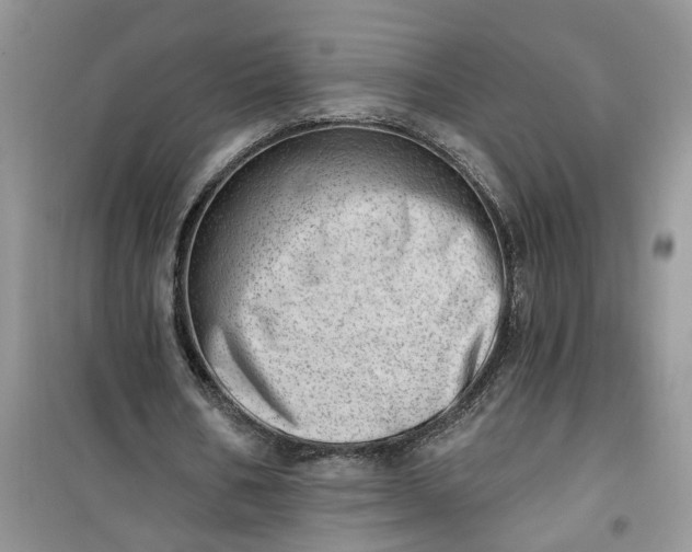 X0000100960578200807081244