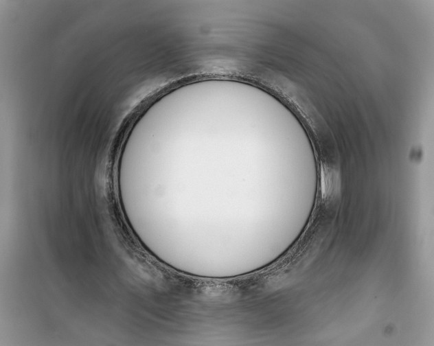 X0000100960579200807081244