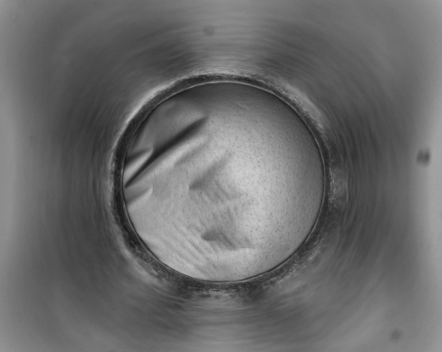 X0000100960580200807081244